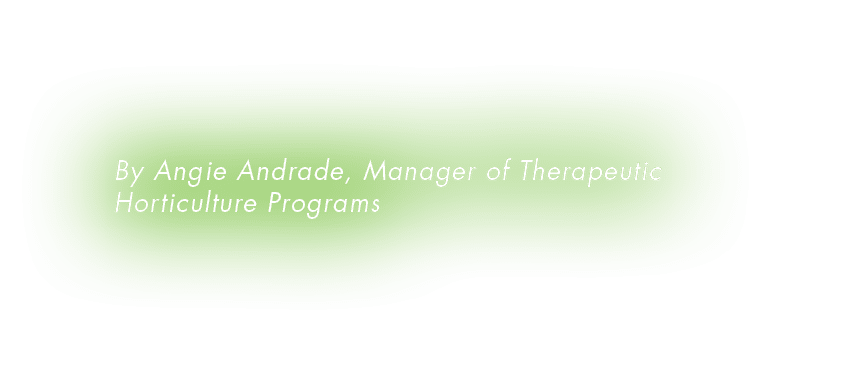 By Angie Andrade, Manager of Therapeutic Horticulture Programs