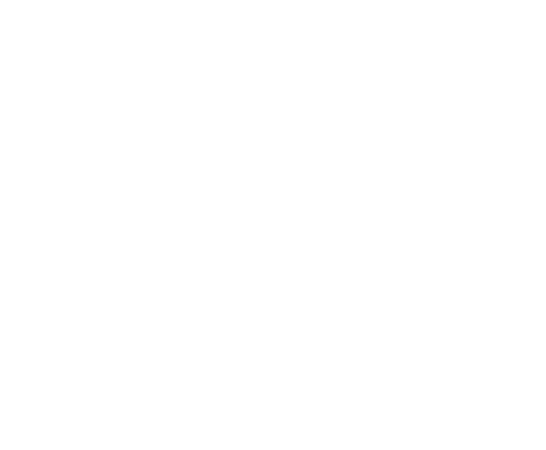  One of our little great-grandsons is always eager to get  to the Gardens  time and time again  One thing he has disc   