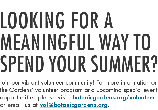 Looking for a meaningful way to spend your summer? Join our vibrant volunteer community! For more information on the ...