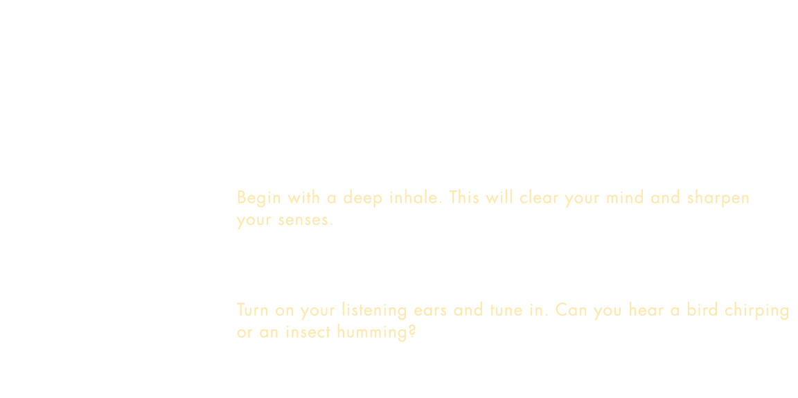 By Helena Nitz, Family and Children’s Program Coordinator Embarking on a nature journey with family can be about more...