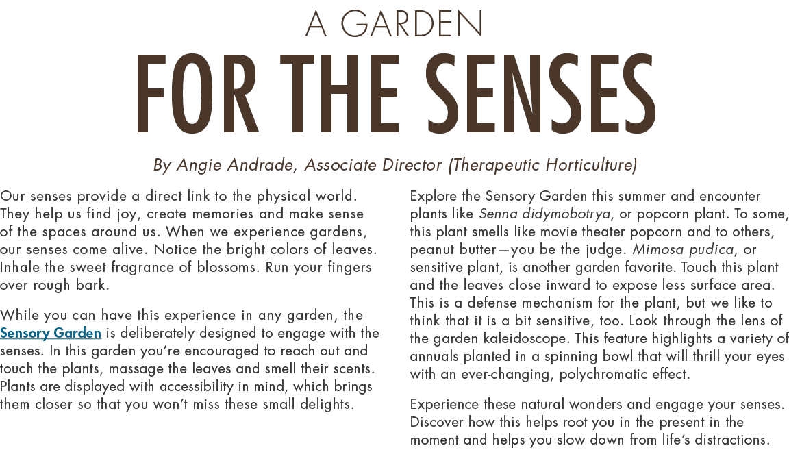 A Garden for the Senses By Angie Andrade, Associate Director (Therapeutic Horticulture) Our senses provide a direct l...