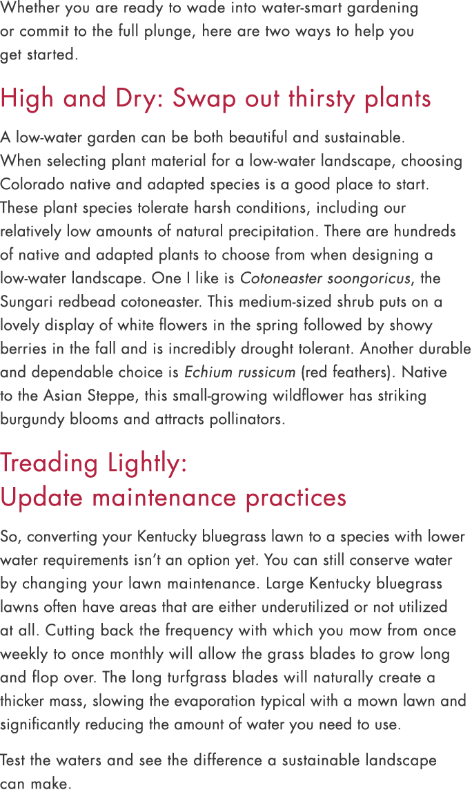 Whether you are ready to wade into water smart gardening or commit to the full plunge, here are two ways to help you ...