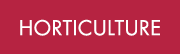 HORTICULTURE