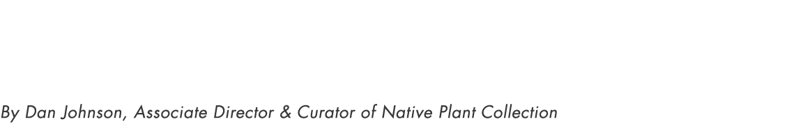 Garden Evolution By Dan Johnson, Associate Director & Curator of Native Plant Collection