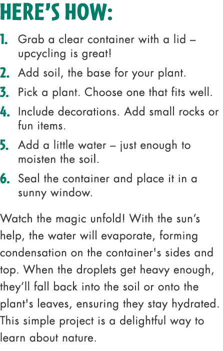 Here’s how: 1. Grab a clear container with a lid – upcycling is great! 2. Add soil, the base for your plant. 3. Pick ...