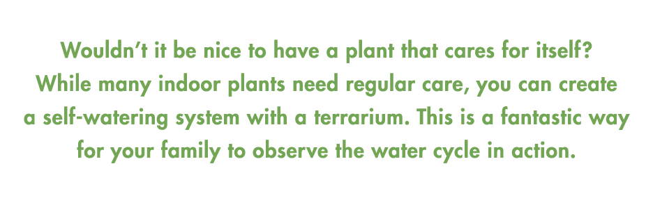 Wouldn’t it be nice to have a plant that cares for itself? While many indoor plants need regular care, you can create...