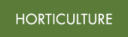 HORTICULTURE