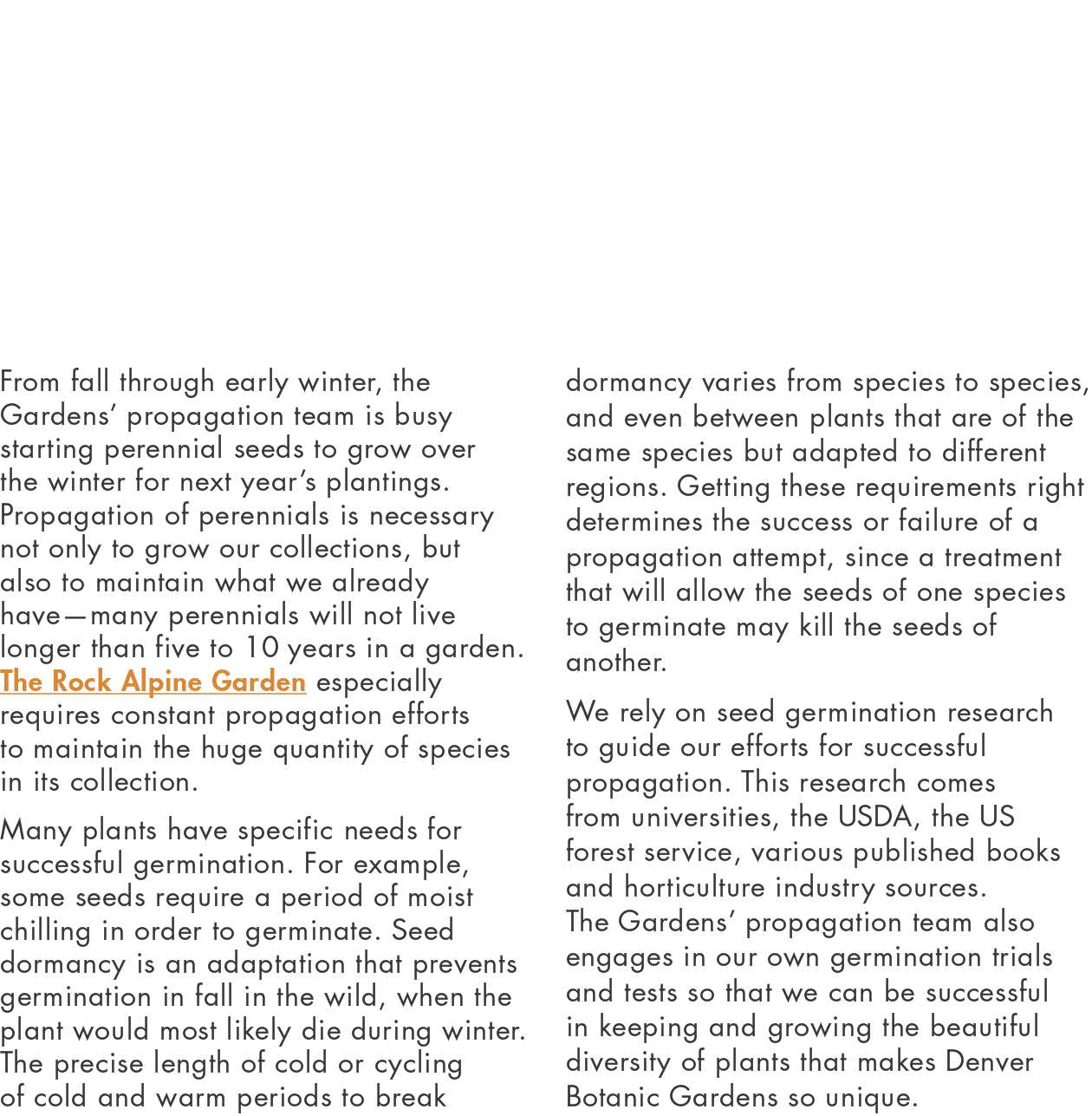 Perennial Propagation by Andrew Habig, Manager of Propagation and Production From fall through early winter, the Gard   