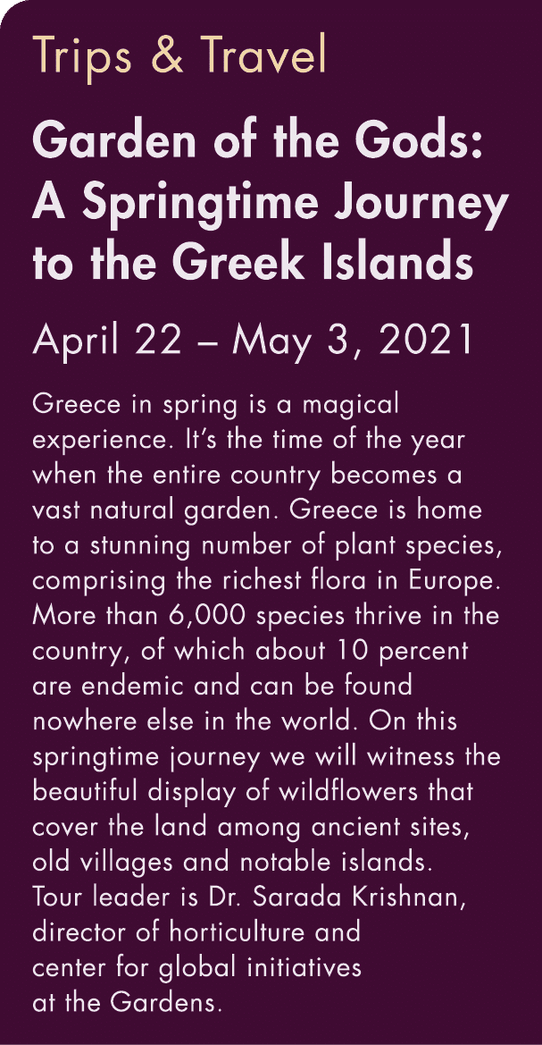 Trips & Travel Garden of the Gods: A Springtime Journey to the Greek Islands April 22   May 3, 2021 Greece in spring    