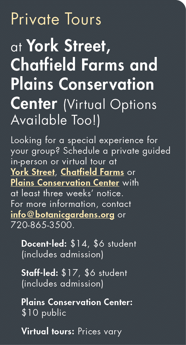 Private Tours at York Street, Chatfield Farms and Plains Conservation Center (Virtual Options Available Too ) Looking   