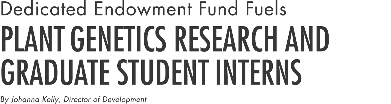 Dedicated Endowment Fund Fuels Plant Genetics Research and Graduate Student Interns By Johanna Kelly, Director of Dev   