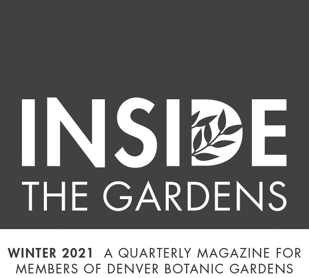 Winter 2021 A Quarterly Magazine for members of denver botanic garden