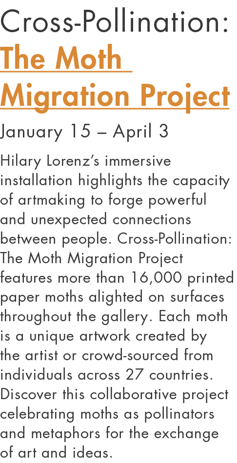 Cross-Pollination: The Moth Migration Project January 15   April 3 Hilary Lorenz s immersive installation highlights    