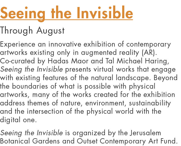 Seeing the Invisible Through August Experience an innovative exhibition of contemporary artworks existing only in aug   