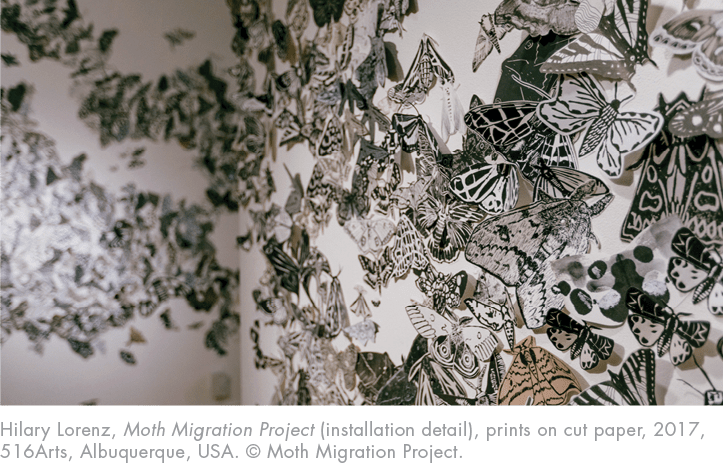 Hilary Lorenz, Moth Migration Project (installation detail), prints on cut paper, 2017, 516Arts, Albuquerque, USA       