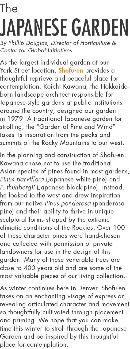 The Japanese Garden By Phillip Douglas, Director of Horticulture & Center for Global Initiatives As the largest indiv...
