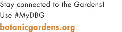 Stay connected to the Gardens! Use #MyDBG botanicgardens.org