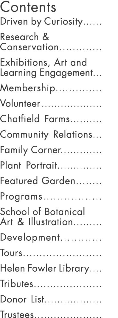 Contents Driven by Curiosity...... Research & Conservation............. Exhibitions, Art and Learning Engagement... M...