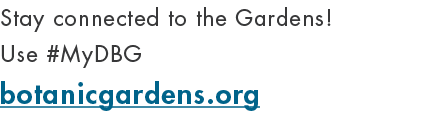 Stay connected to the Gardens! Use #MyDBG botanicgardens.org