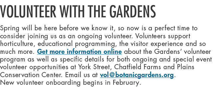 Volunteer with the Gardens Spring will be here before we know it, so now is a perfect time to consider joining us as ...