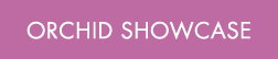 orchid showcase