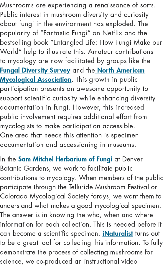 Mushrooms are experiencing a renaissance of sorts. Public interest in mushroom diversity and curiosity about fungi in...