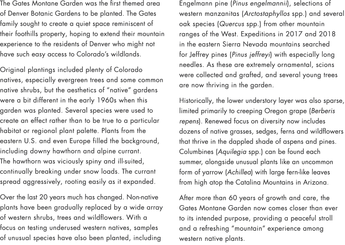 The Gates Montane Garden was the first themed area of Denver Botanic Gardens to be planted. The Gates family sought t...