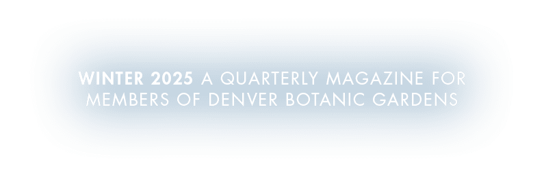 winter 2025 A Quarterly Magazine for members of denver botanic gardens