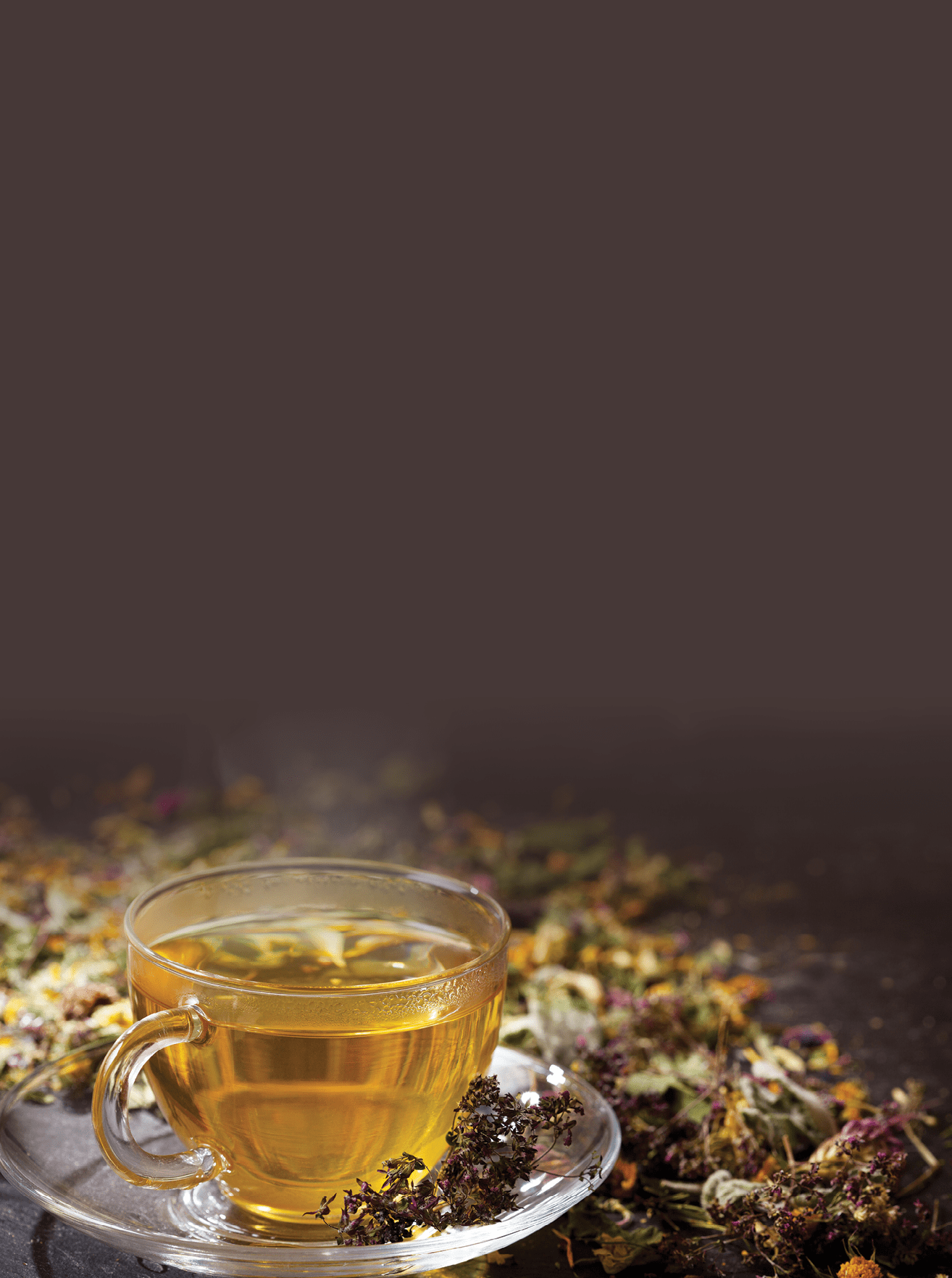 Cup of herbal tea with various herbs on dark background