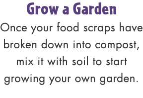 Grow a Garden Once your food scraps have broken down into compost, mix it with soil to start growing your own garden.