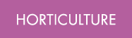 HORTICULTURE