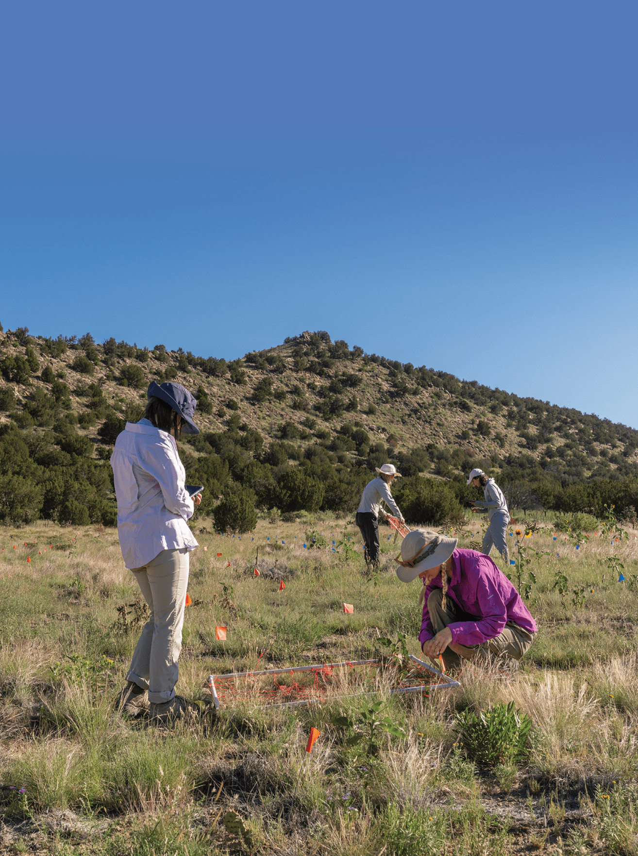 L to R - Devid McNitt, Wildlife Biologist, BLM Royal Gorge Field Office, MIchelle Williams, Tiffany Gentry, Rebecca Hufft, Ph.D. Associate Director of Applied Conservation @ DBG, Theresa Melhem, Adriana Jacobi, April Goebl, Ph.D. Asst. Research Scientist