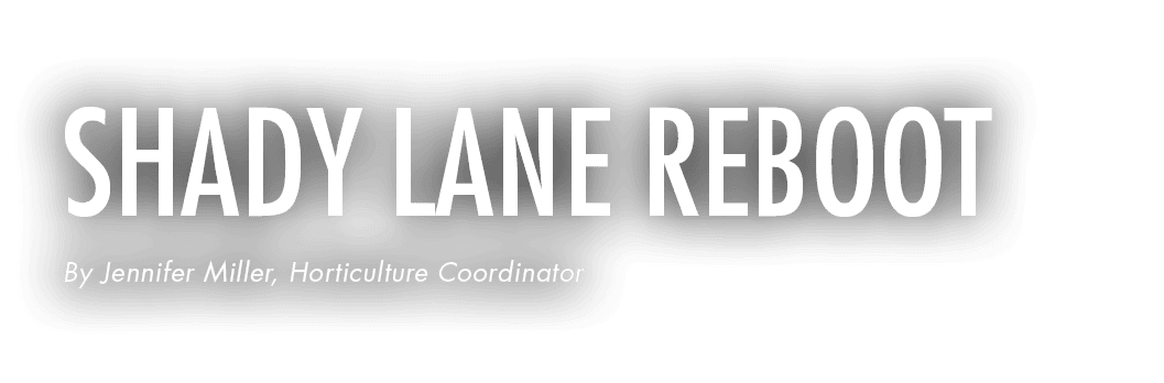 Shady Lane Reboot By Jennifer Miller, Horticulture Coordinator