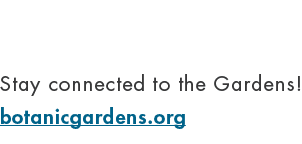 Stay connected to the Gardens! botanicgardens.org