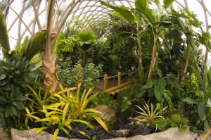 Boettcher Memorial Tropical Conservatory