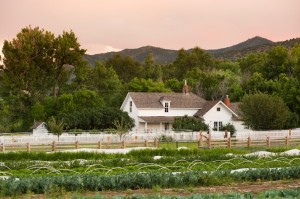 Denver Botanic Gardens at Chatfield