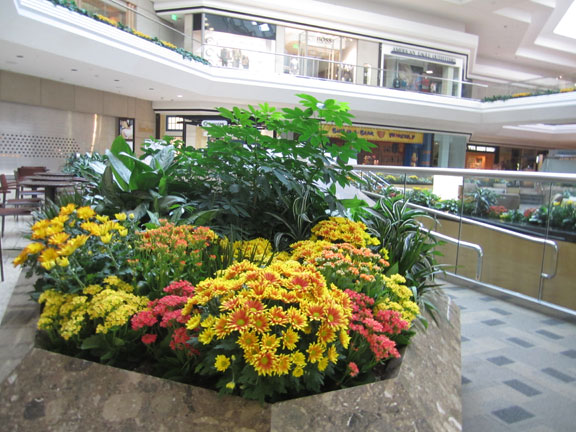 Cherry Creek Shopping Center Grand Court Display