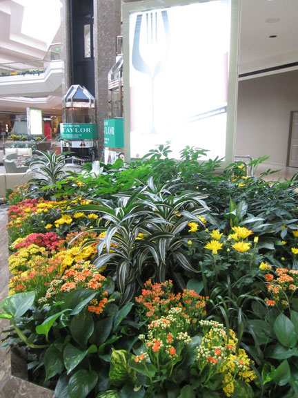 Cherry Creek Shopping Center Grand Court Display