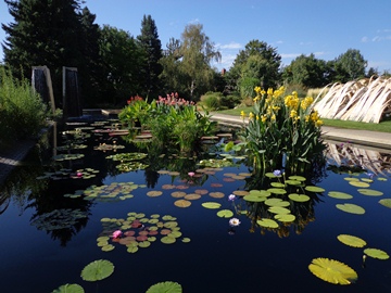 botanical gardens