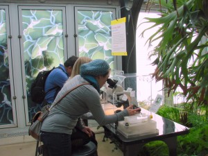 Visitors in the Huntington Conservatory "Plants are Up to Something" Exhibition