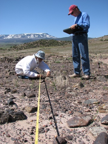 Rare Plant Monitoring Stewards 