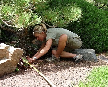 Intern Monica in the Japanese Garden