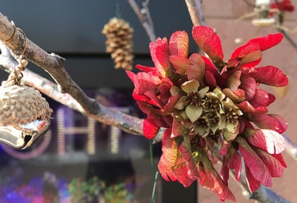 A flower made from maple seeds and a dried bupleurum bloom