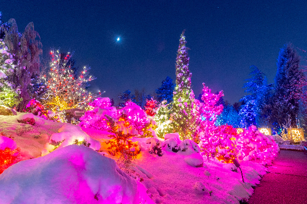 The Secrets Blossoms of Light | Botanic Gardens