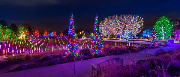 Blossoms of Light – Improving the Visitor | Denver Gardens