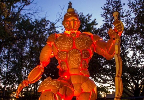 Good Gourd Design The Art Of Glow At The Gardens Denver