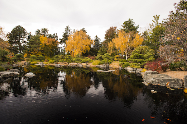 Japanese Garden at Denver Botanic Gardens