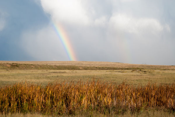 Plains Conservation Center in Aurora