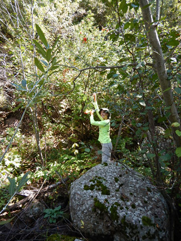 Samlping along creek