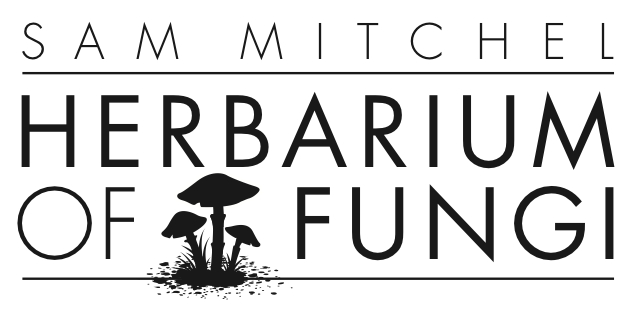 Sam Mitchel Herbarium Logo